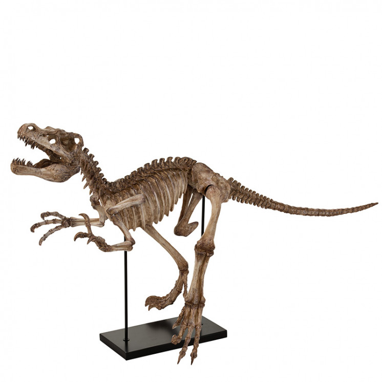 Sculpture dinosaure DINO RAPTOR J-Line