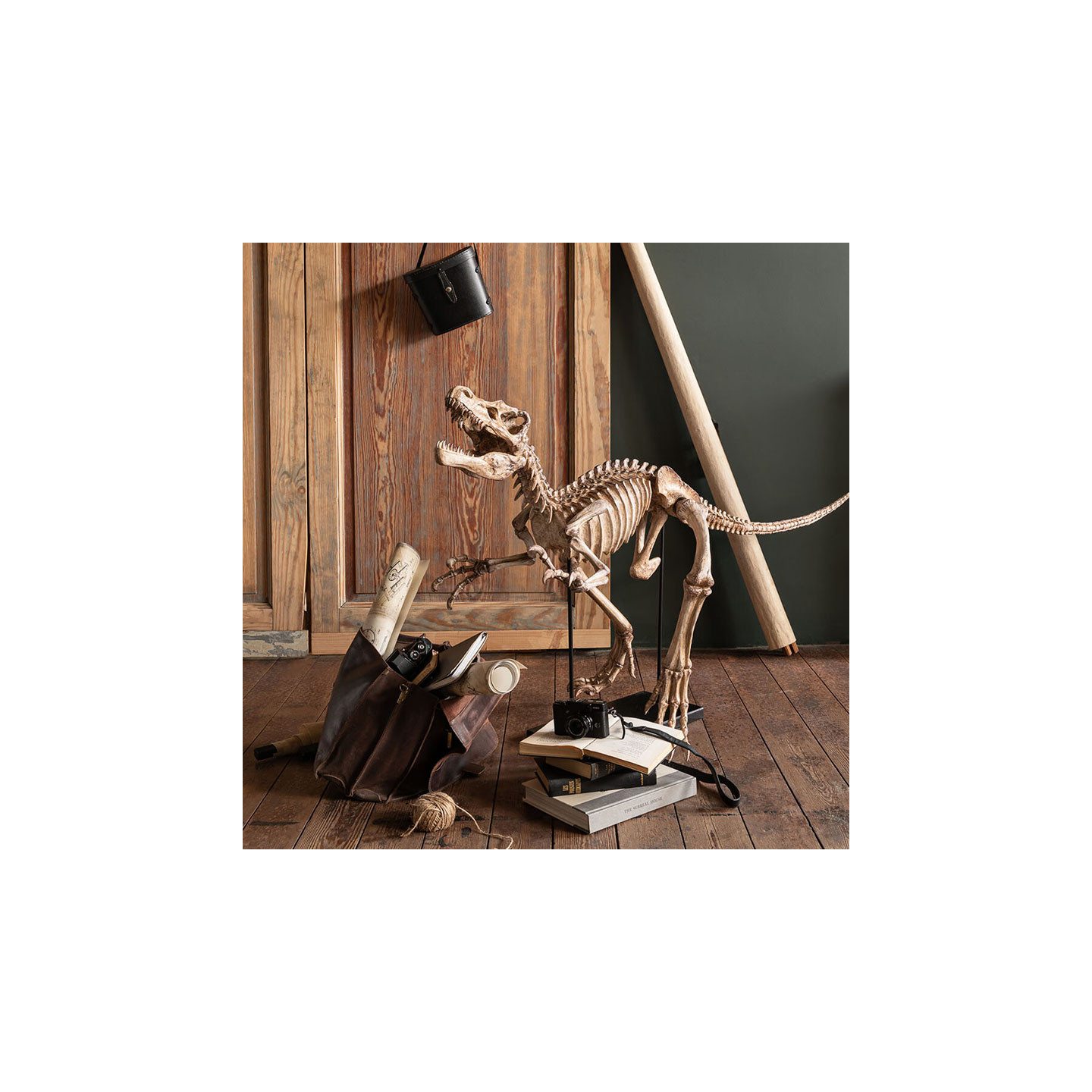 Sculpture dinosaure DINO RAPTOR J-Line