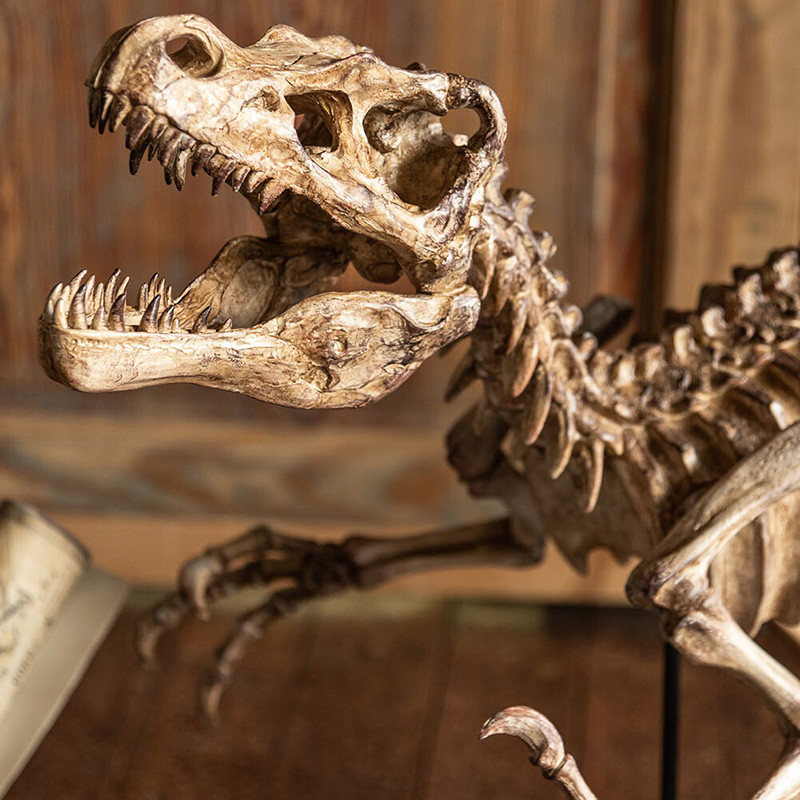 Sculpture dinosaure DINO RAPTOR J-Line