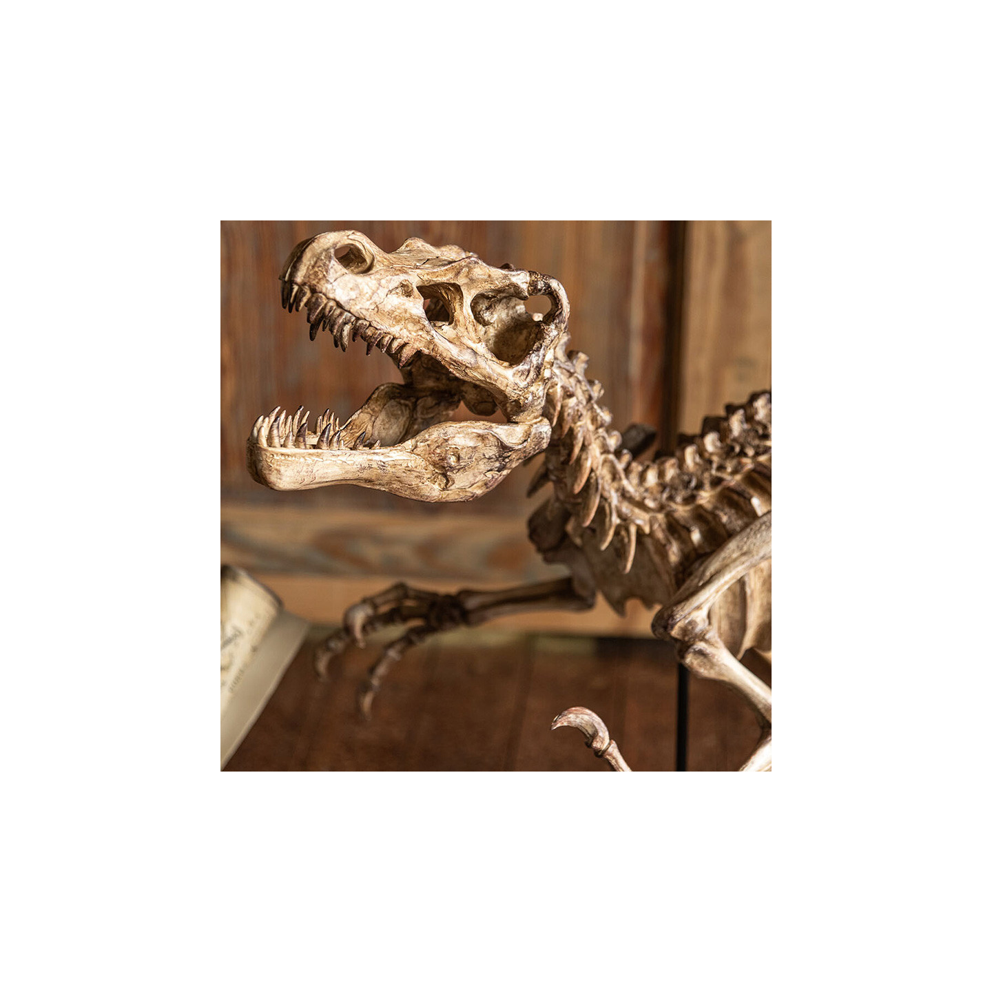 Sculpture dinosaure DINO RAPTOR J-Line