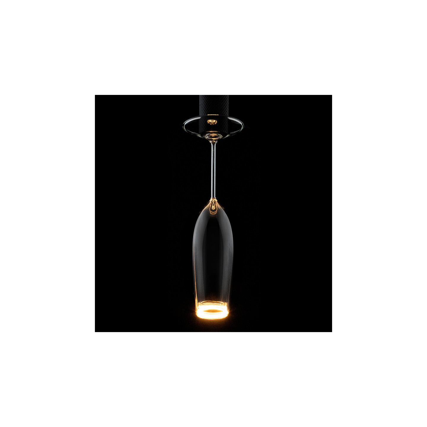Ampoule décorative E27 COUPE A CHAMPAGNE clair Segula Gmbh