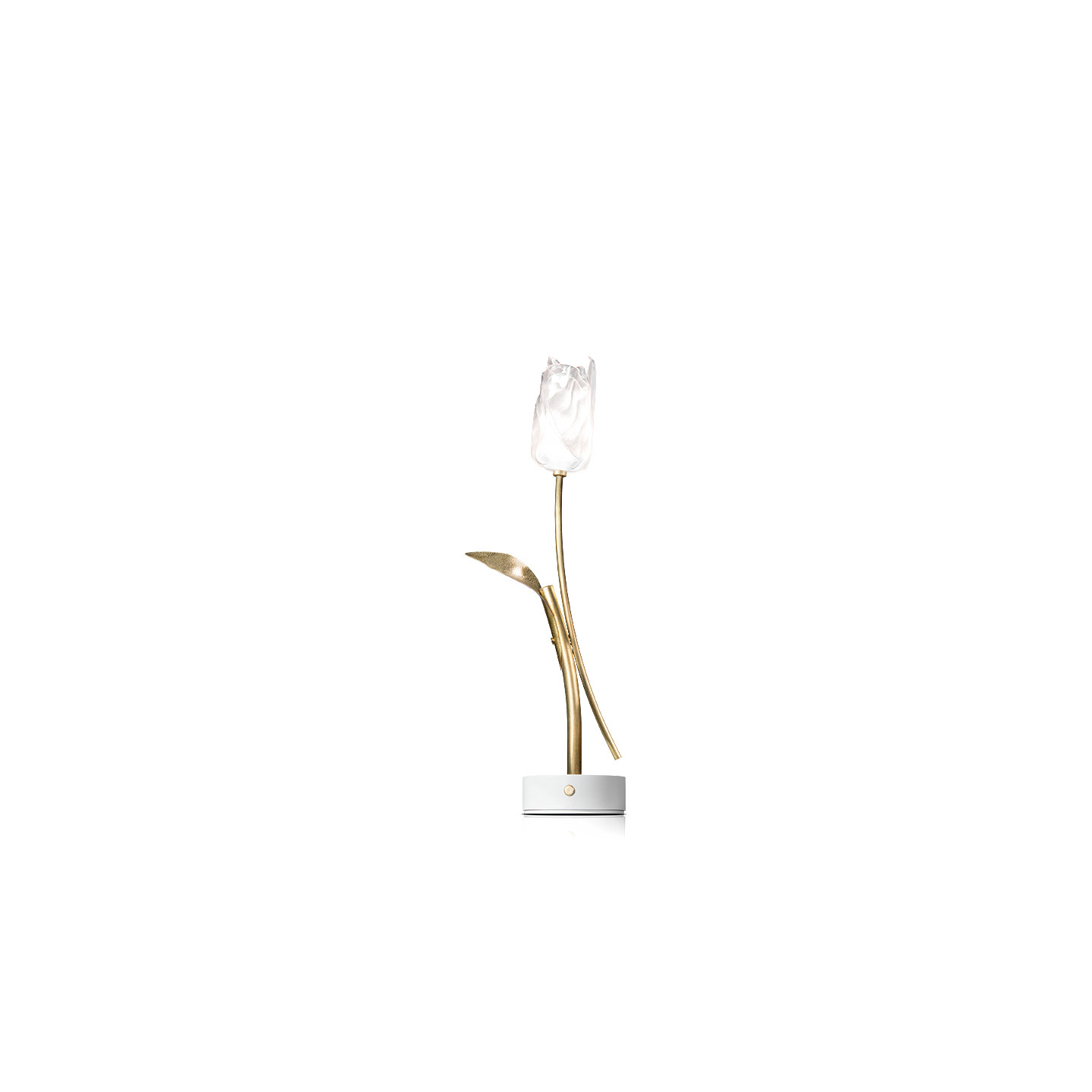 Lampe de table sans  fil rechargeable TULIP, 2 coloris Slamp