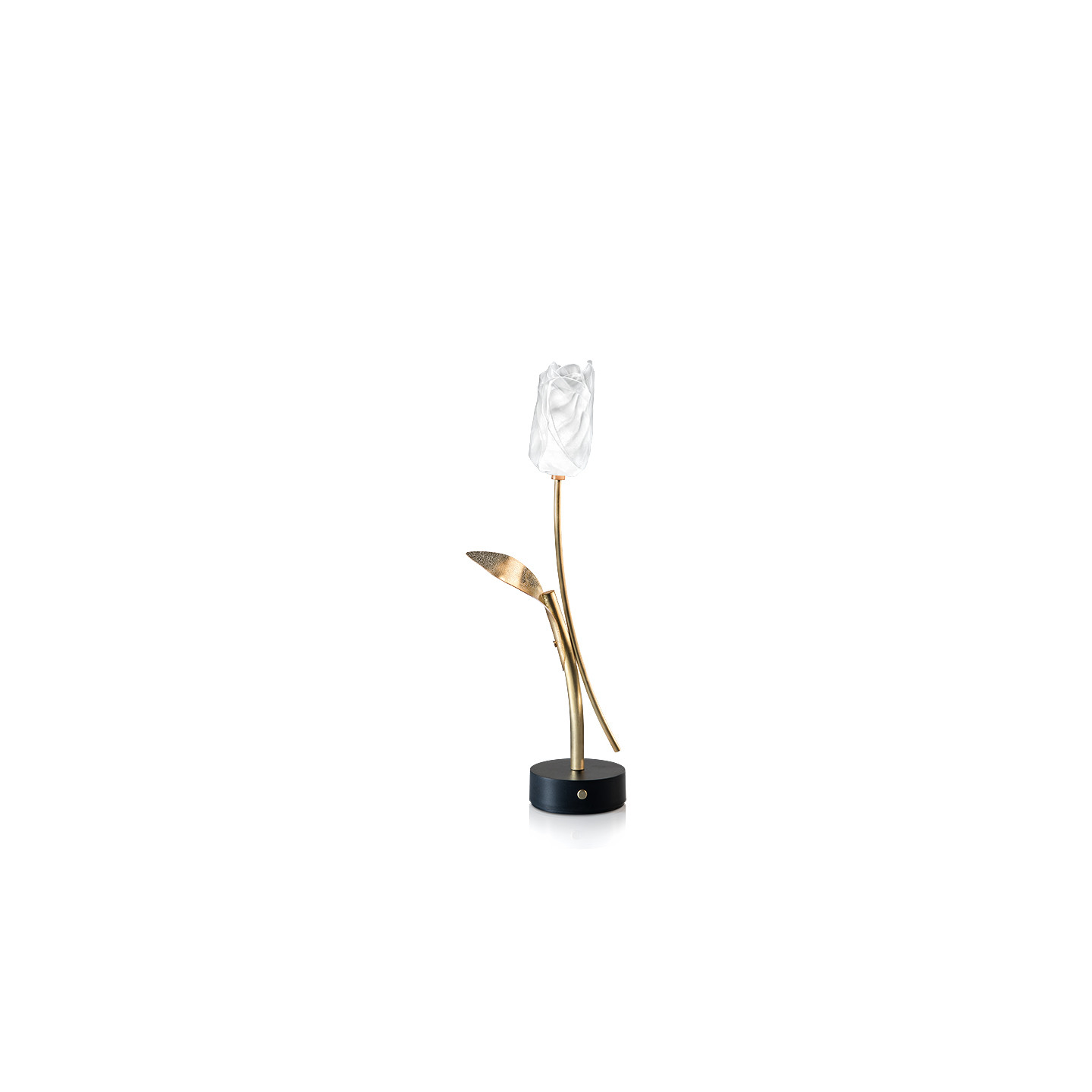 Lampe de table sans  fil rechargeable TULIP, 2 coloris Slamp