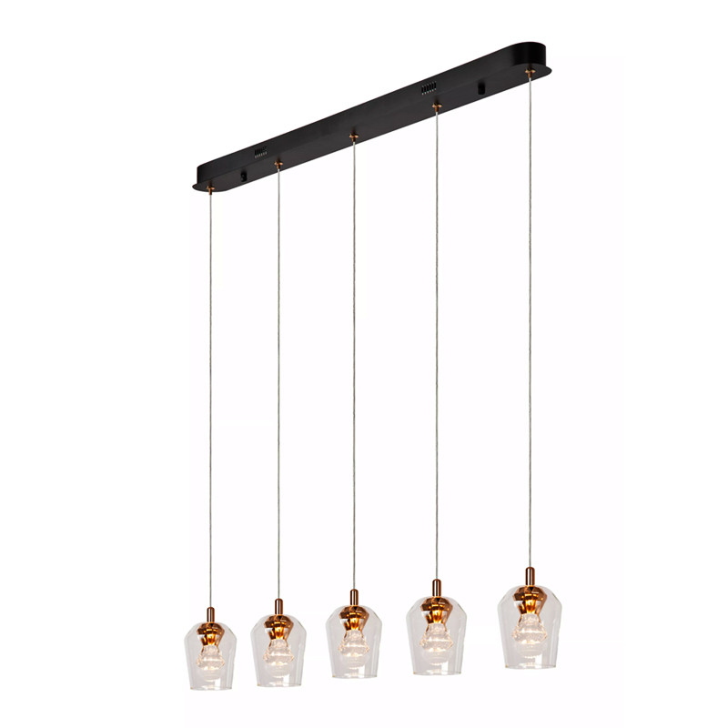 Suspension 5 ampoules BERLIANE