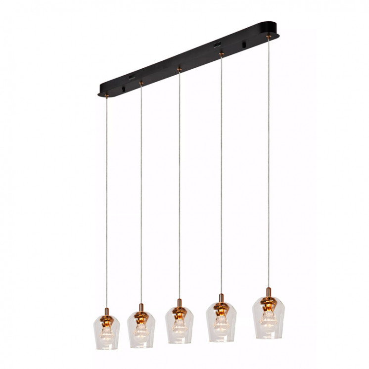 Suspension 5 ampoules BERLIANE