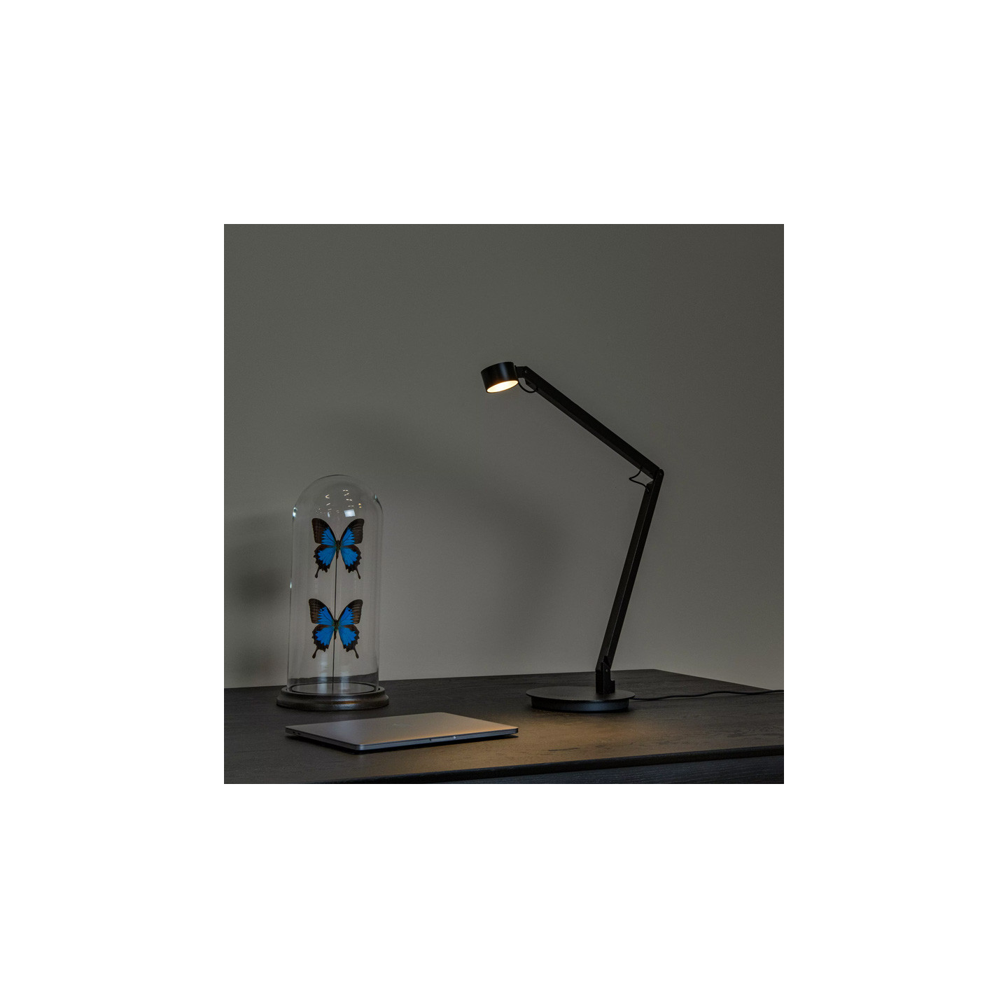 Lampe design bureau OGDEN, 3 coloris