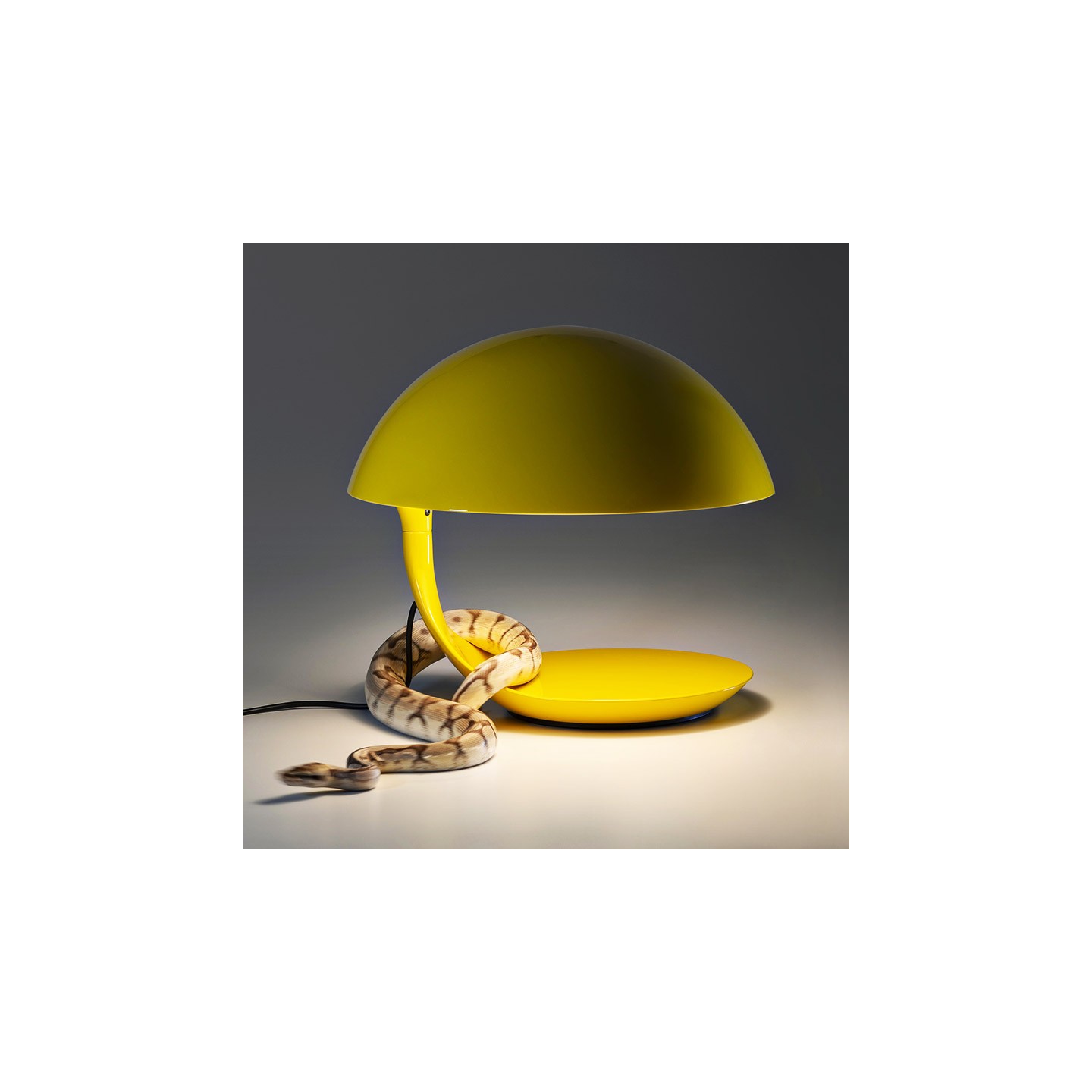 Lampe à poser design salon COBRA 100 Martinelli Luce