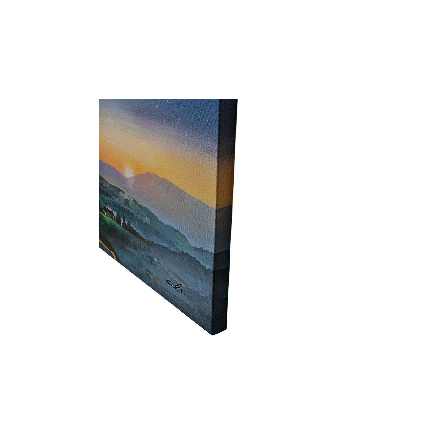 Toile éléphant FLYING ELEPHANT AT NIGHT