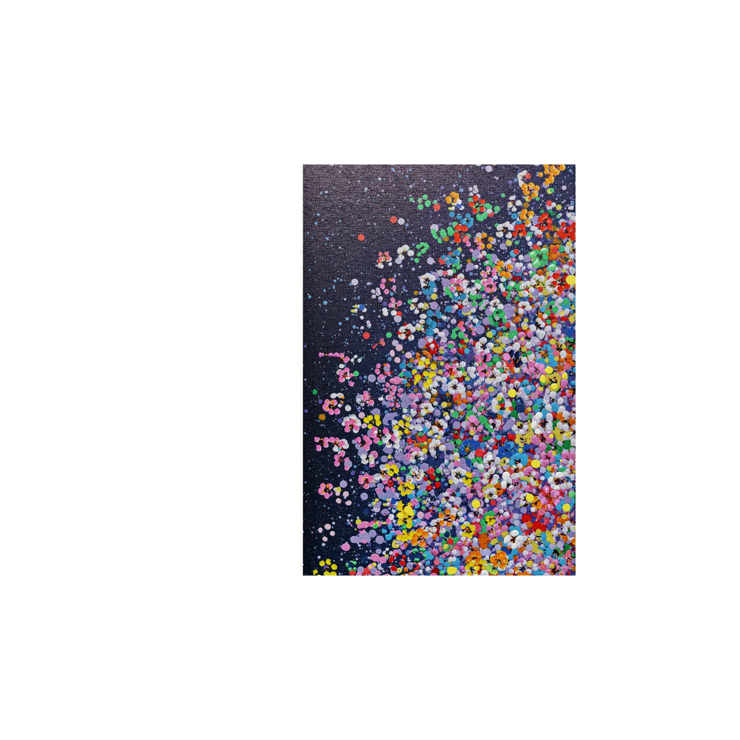 Toile éléphant FLYING ELEPHANT AT NIGHT