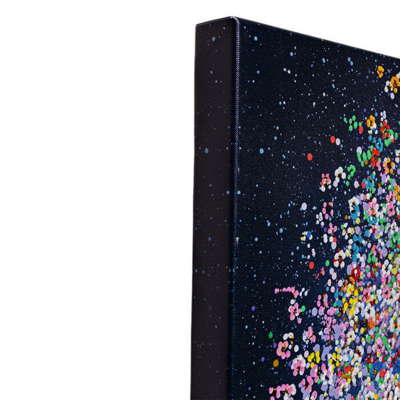 Toile éléphant FLYING ELEPHANT AT NIGHT