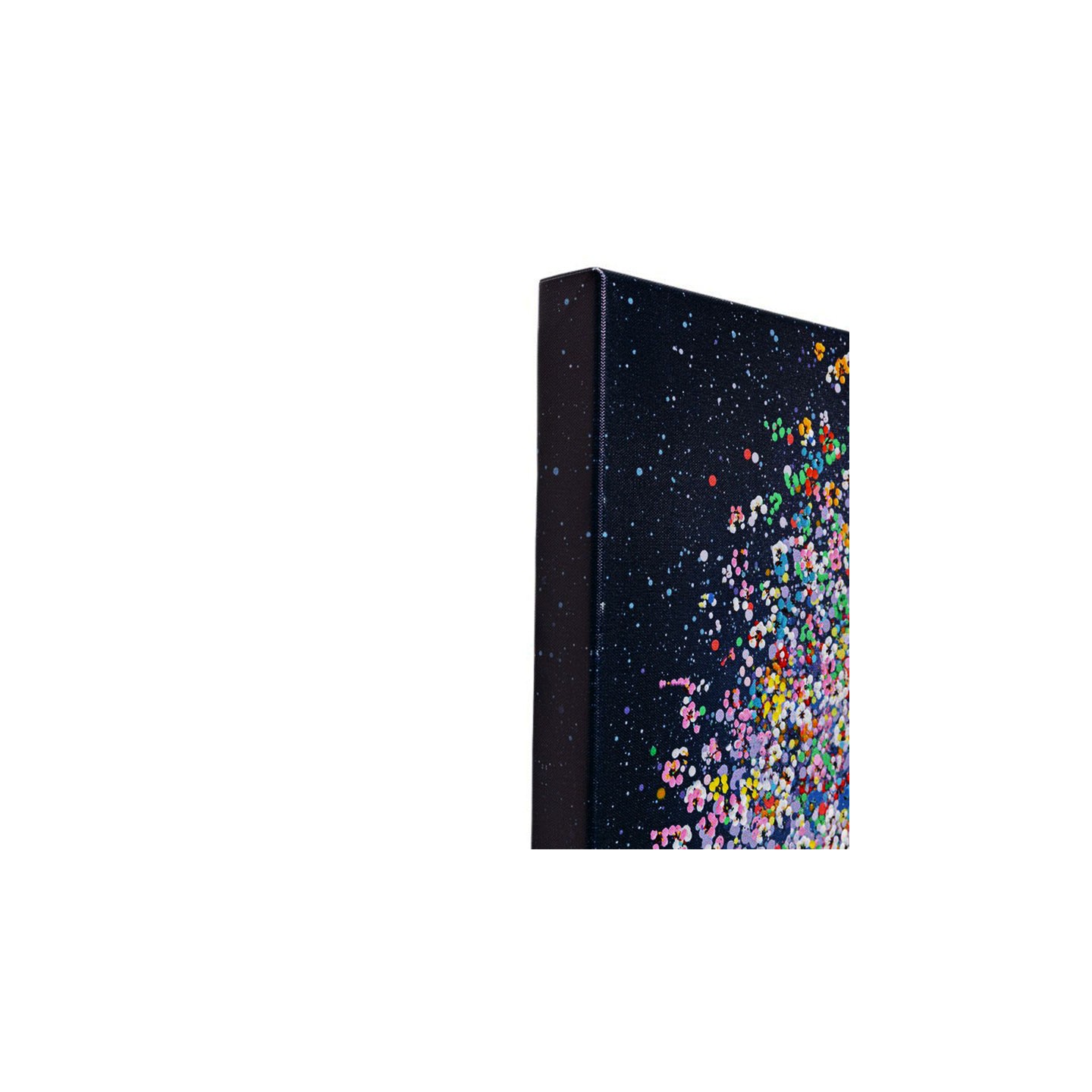 Toile éléphant FLYING ELEPHANT AT NIGHT